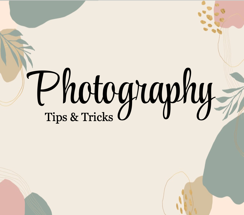 Photography Workshop- DIGITAL DOWNLOAD